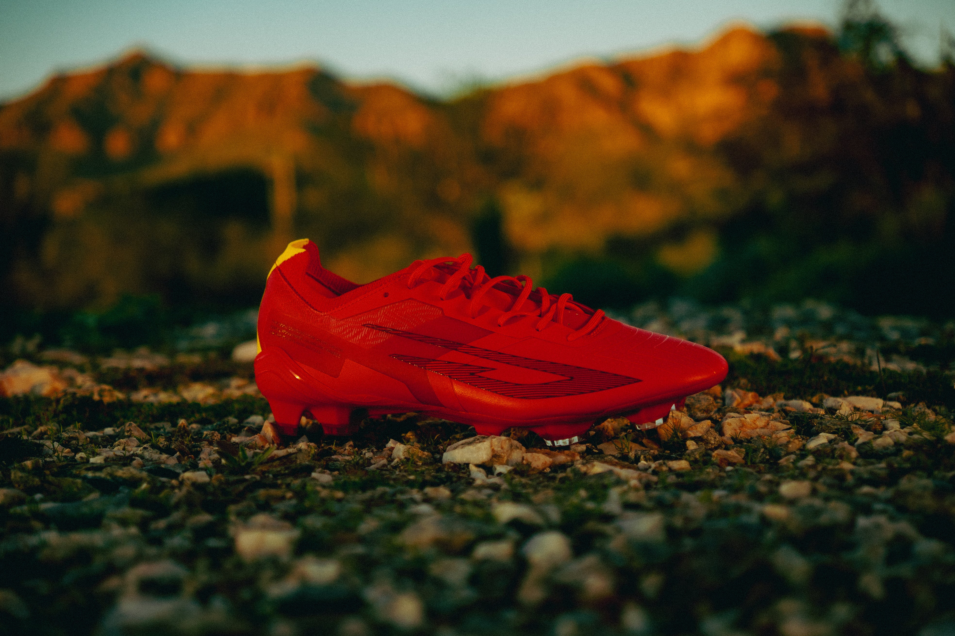 Scudetta FG - Image 7