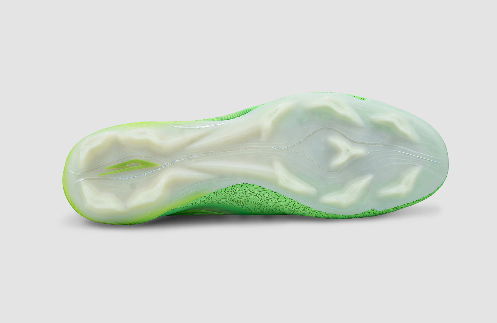 Scudetta FG - Image 7