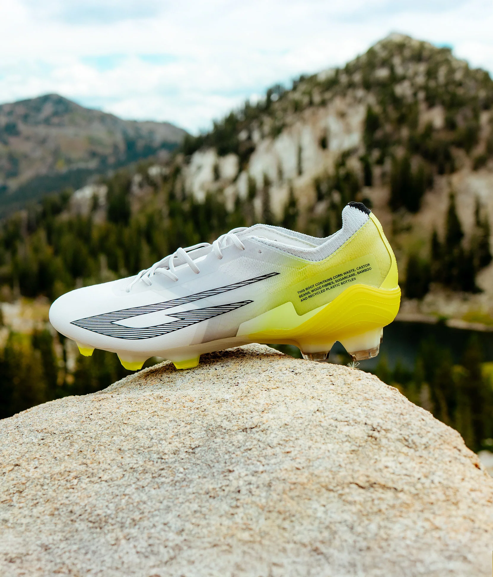 Scudetta FG - Image 4